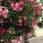 Apartamento La Vigne Et L'olivier