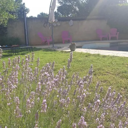 Apartmán La Vigne Et L'olivier Villeneuve-lès-Avignon