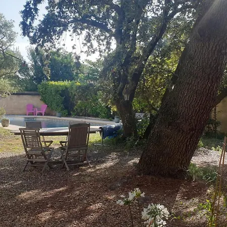 La Vigne Et L'olivier