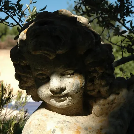 La Vigne Et L'olivier * Villeneuve-lès-Avignon