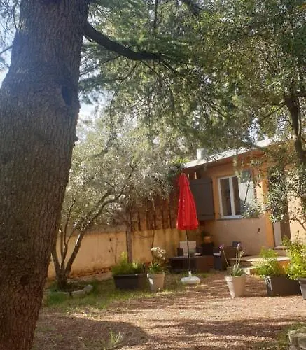Appartement La Vigne Et L'olivier